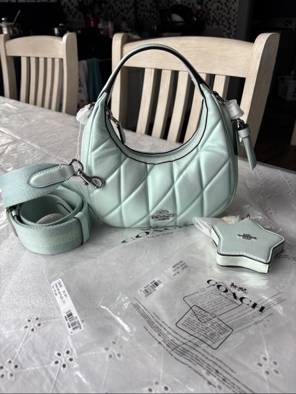 Coach Mint Quilted Leather Mini Carmen Crossbody